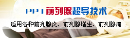PPT前列腺超導技術